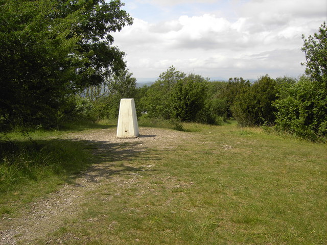 File:Arnside Knott Trig - geograph.org.uk - 1379535.jpg