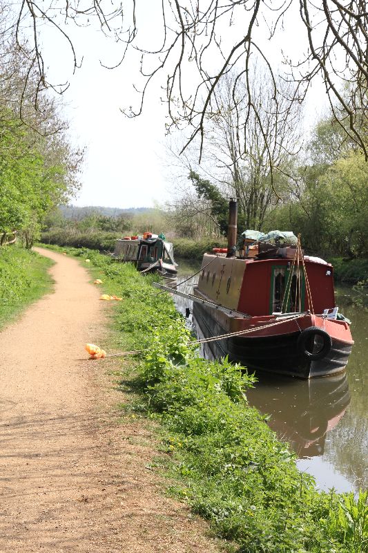 Bags by the path - geograph.org.uk - 2377695