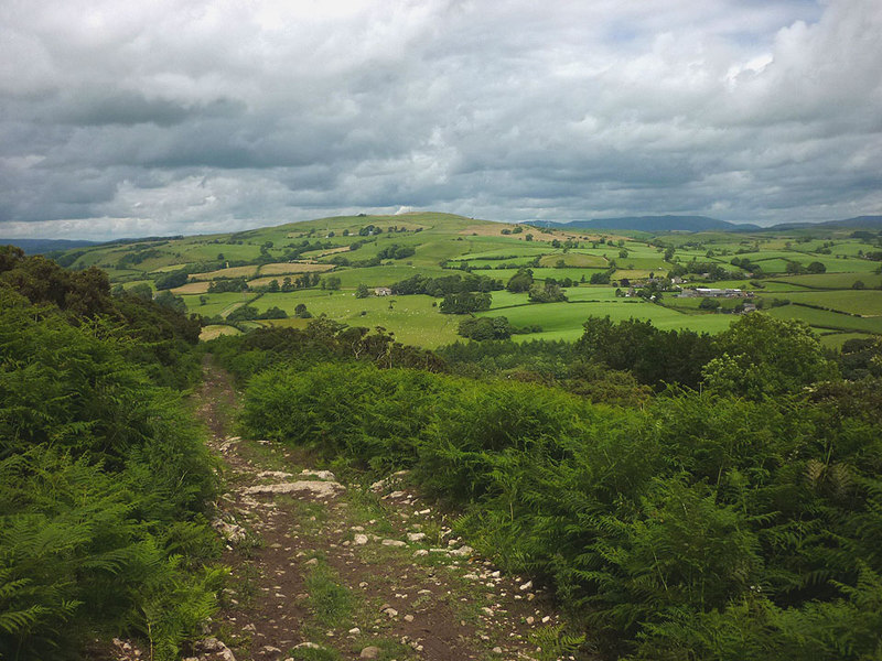 File:Bridleway above Newbiggin - geograph.org.uk - 5030116.jpg