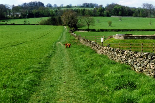 Broombriggs Farm Country Park - geograph.org.uk - 4890