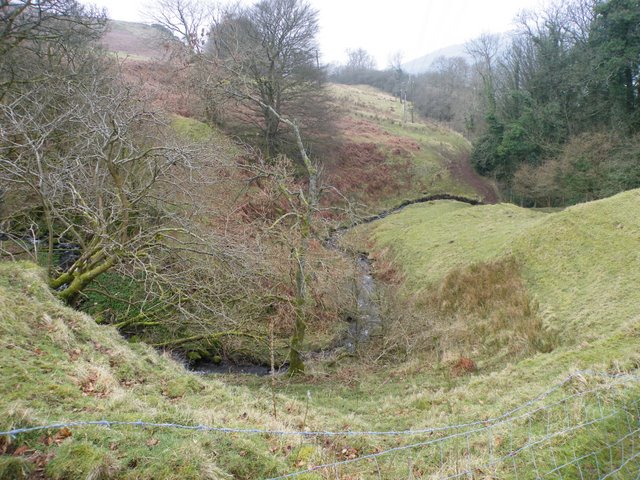 File:Burn in Spango Valley - geograph.org.uk - 1216063.jpg