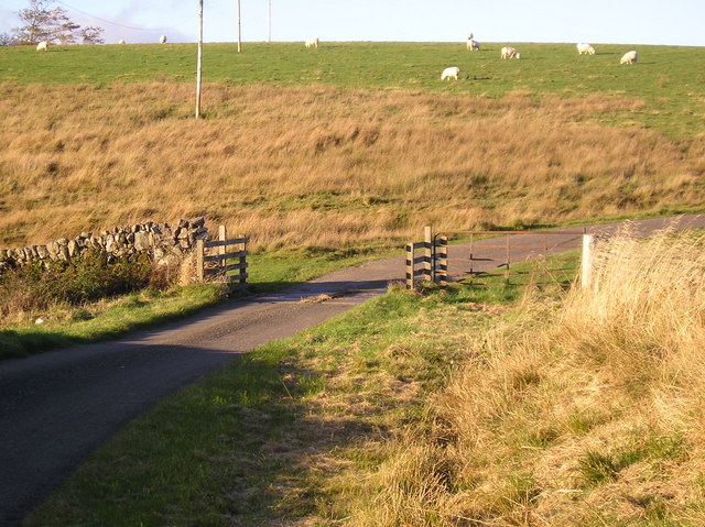 File:Cattle grid on the road from Corsock Bridge to Glaisters - geograph.org.uk - 586641.jpg