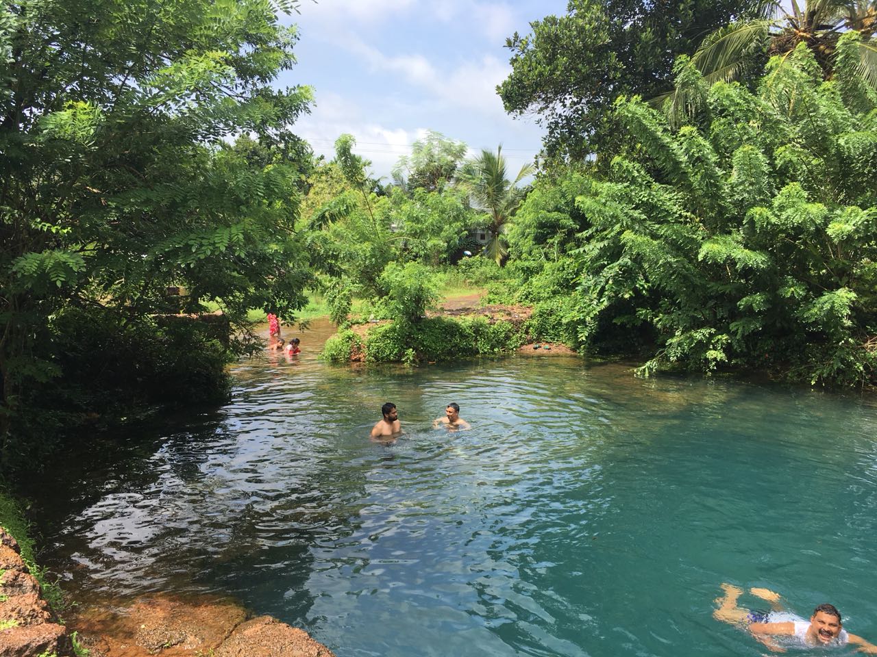 The Aquatic Wonder of The Blue Hole