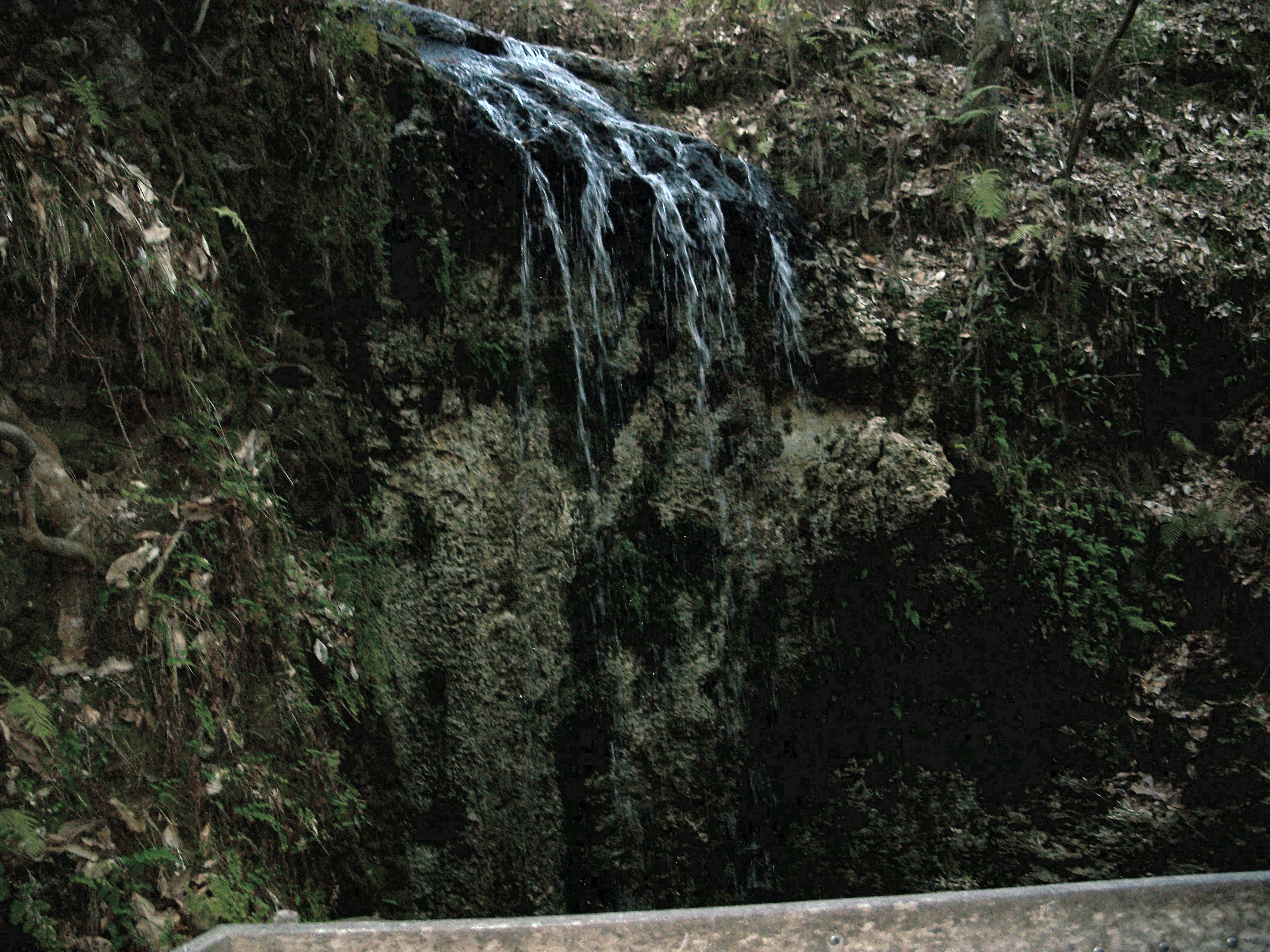 Falling Water. The great Falls Water перевод.