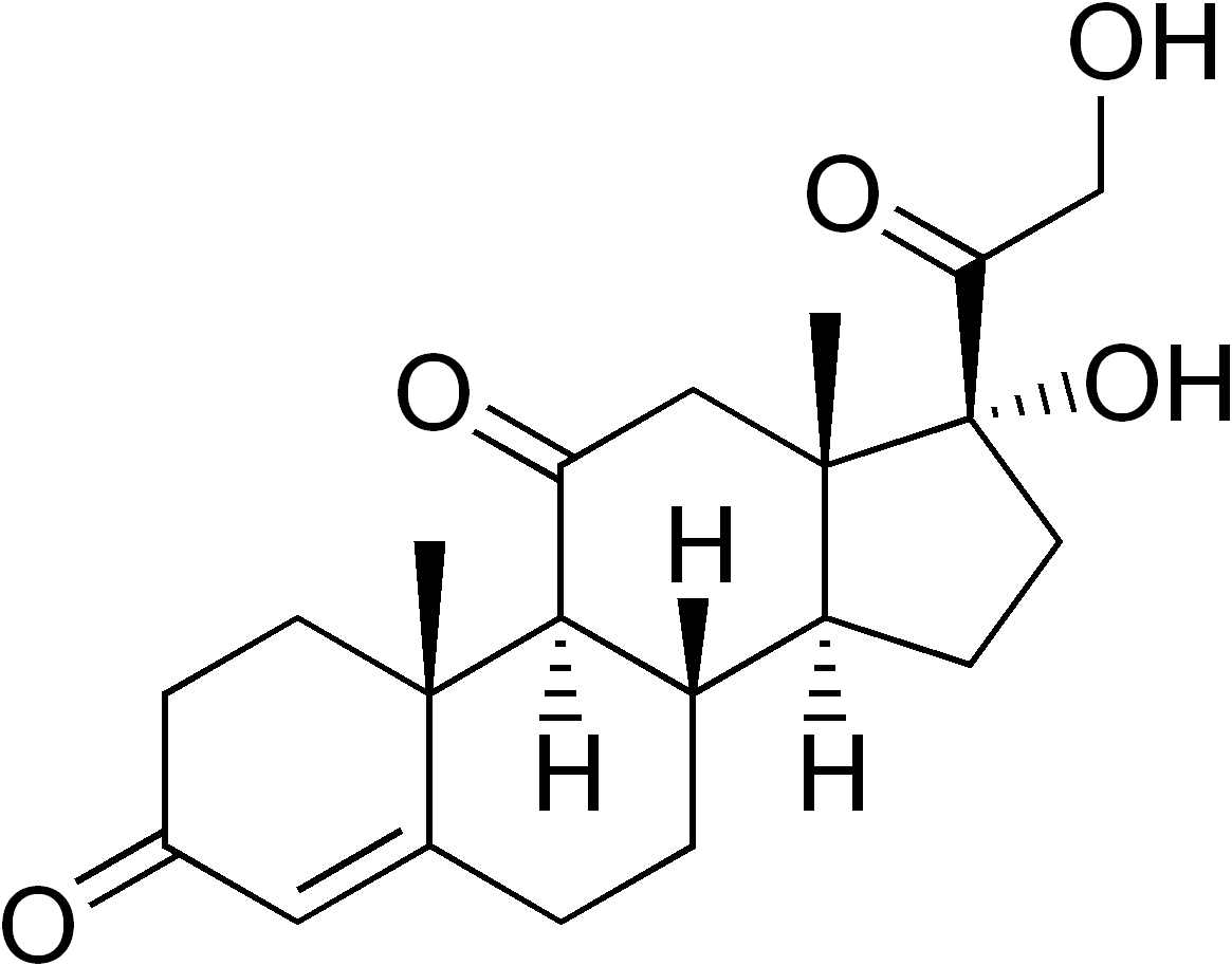 Cortisone