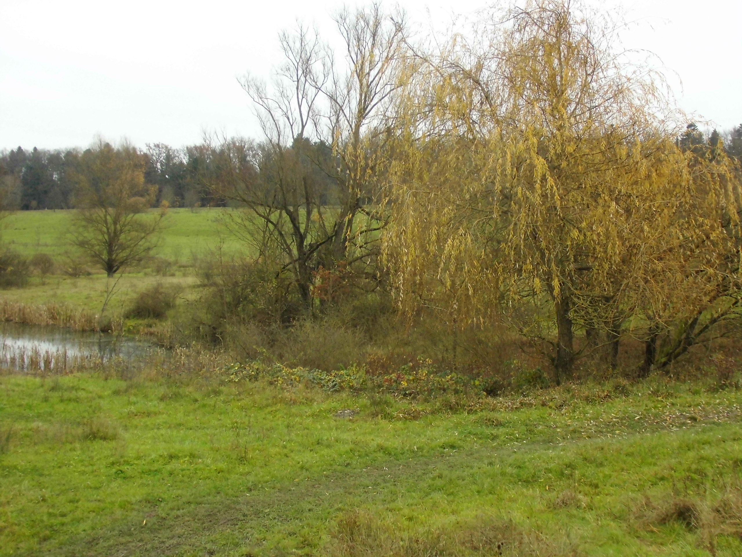 Blick von der Beobachtungsplattform im Südwesten des Naturschutzgebiet Listhof (Nr. 4.297) in Richtu...