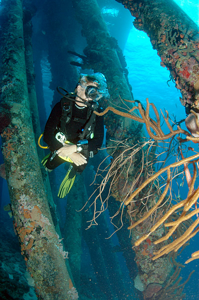 File:Diver under the Salt Pier, Bonaire, Dutch Antilles.jpg