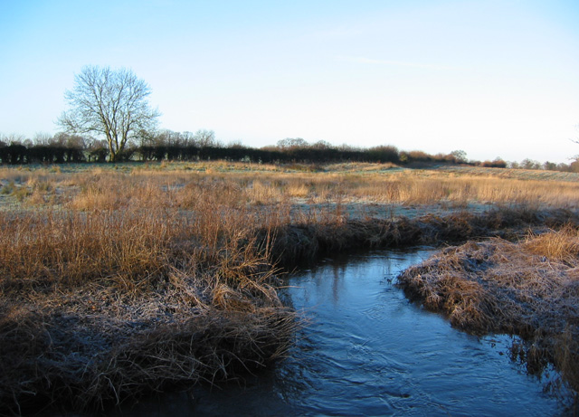 Early morning sun on the River Weaver - geograph.org.uk - 320893