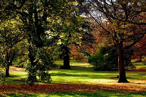 File:Edinburgh Botanic Gardens - geograph.org.uk - 618301.jpg