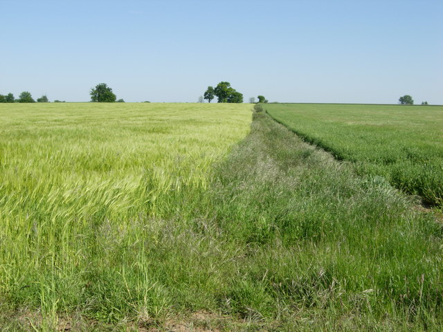 File:Farmland near Troston - geograph.org.uk - 180990.jpg