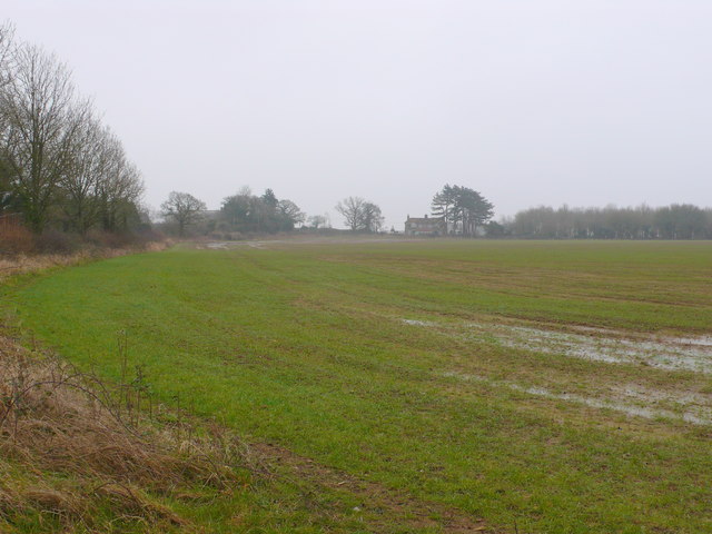 File:Fields at Copse Farm - geograph.org.uk - 3346254.jpg