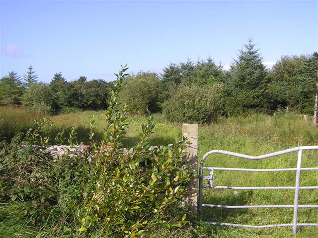 File:Gortnahoula Townland - geograph.org.uk - 1482350.jpg