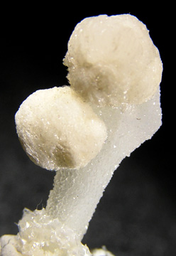 File:Gyrolite-Quartz-4aa57a.jpg