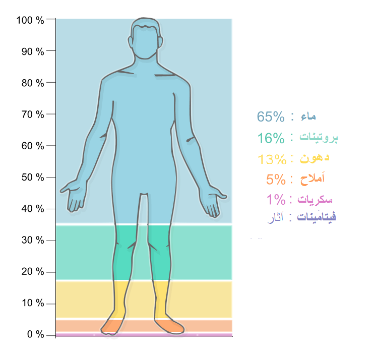 يشكل الماء النسبة الأغلب من مساحة الكرة الأرضية.