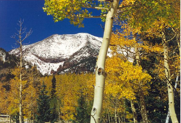 Humphreys Peak is the highest summit of the U.S. State of Arizona. Humphreys Peak KPW.jpg