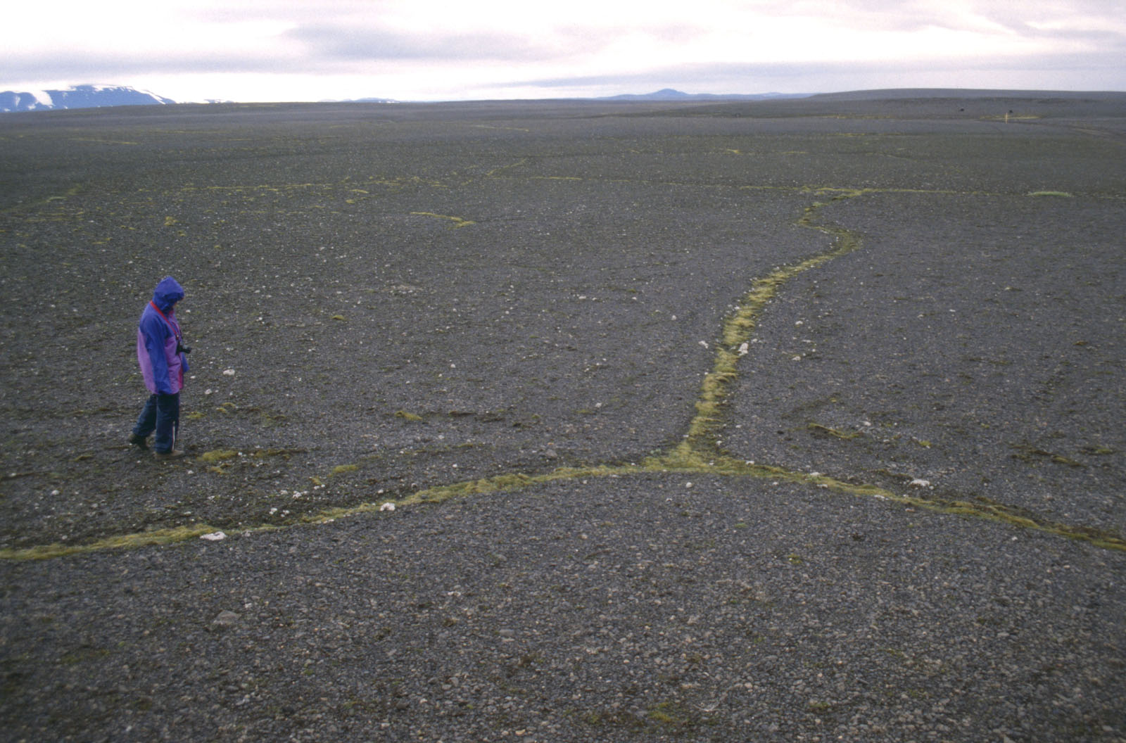 Ice wedge iceland.jpg