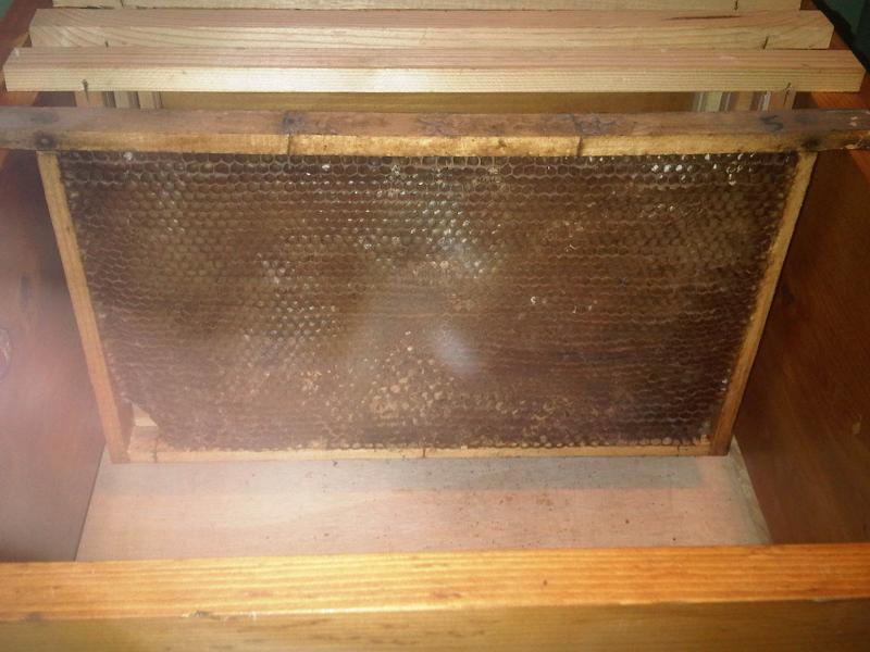 File:Iz - Beehive with a frame.jpg