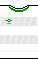 File:Kit body chapecoense16a.png