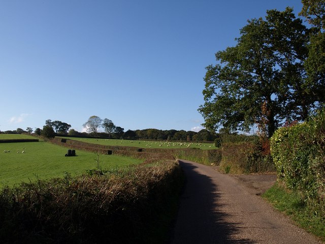 File:Lane near Hittisleigh - geograph.org.uk - 1551662.jpg