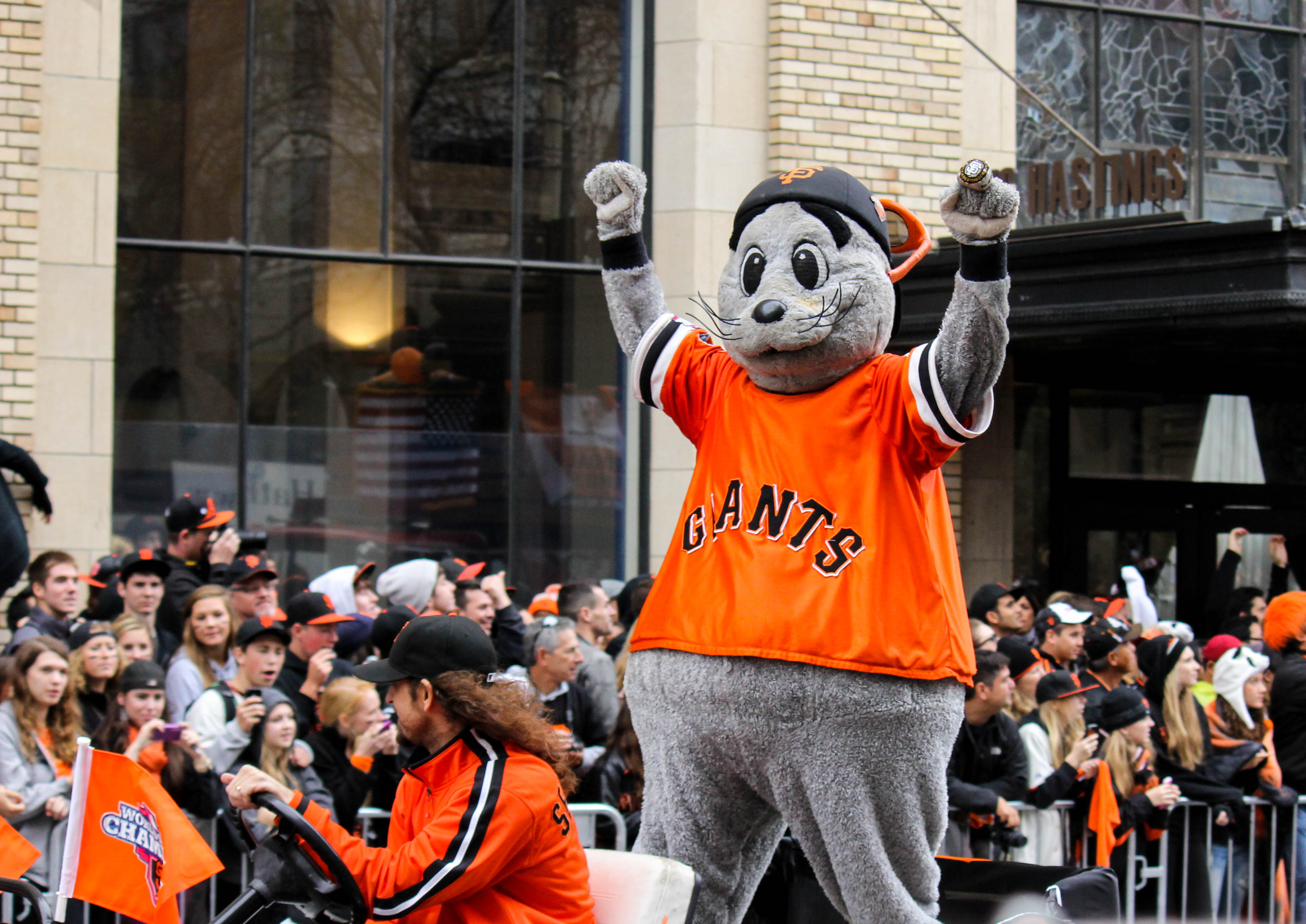 Lou Seal, Mascot Wiki