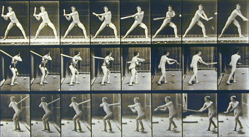 File:Muybridge, Eadweard(1830-1904) - Animal Locomotion - (1887) - plate 276.jpg