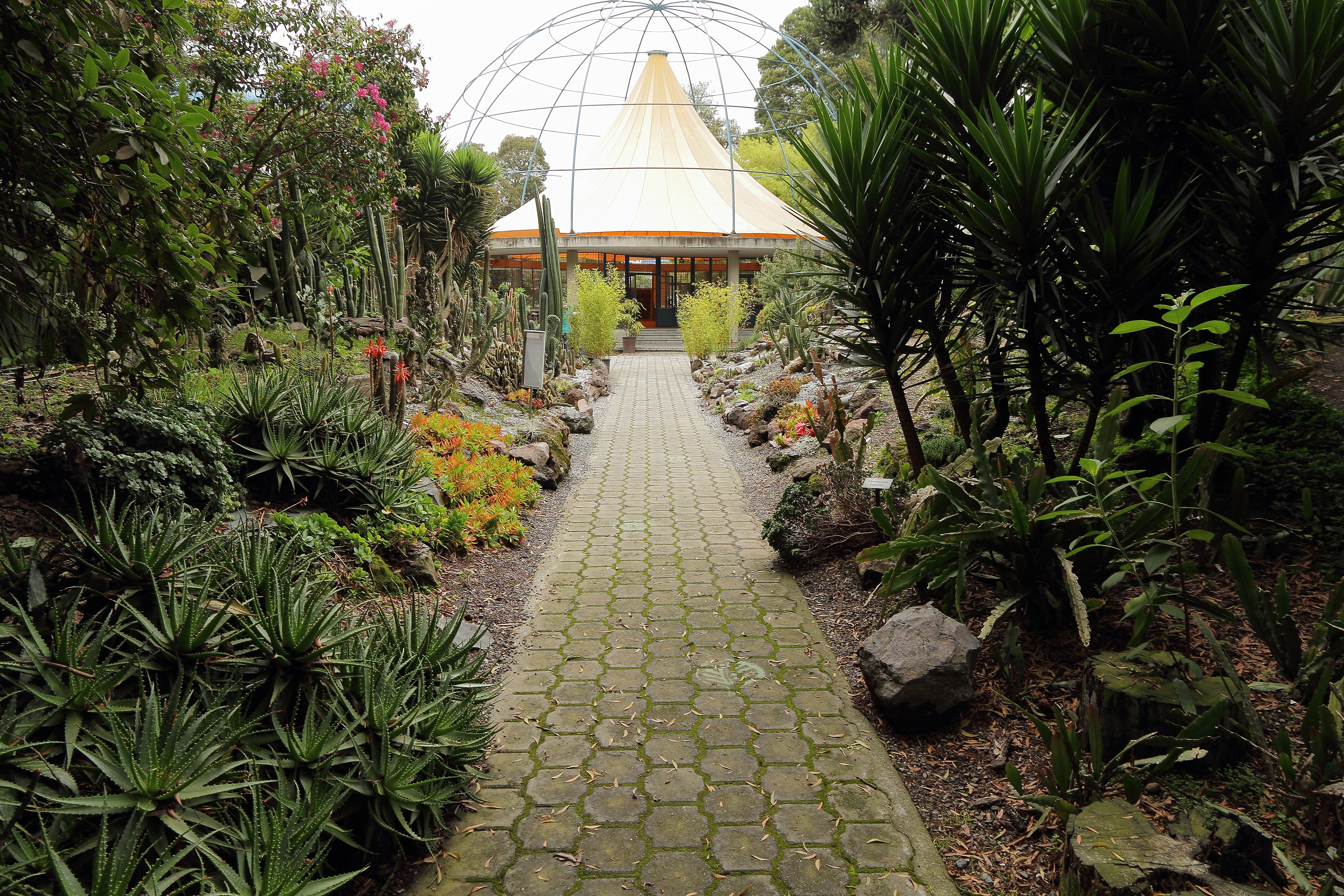 Jardin Botanico De Quito Wikipedia La Enciclopedia Libre