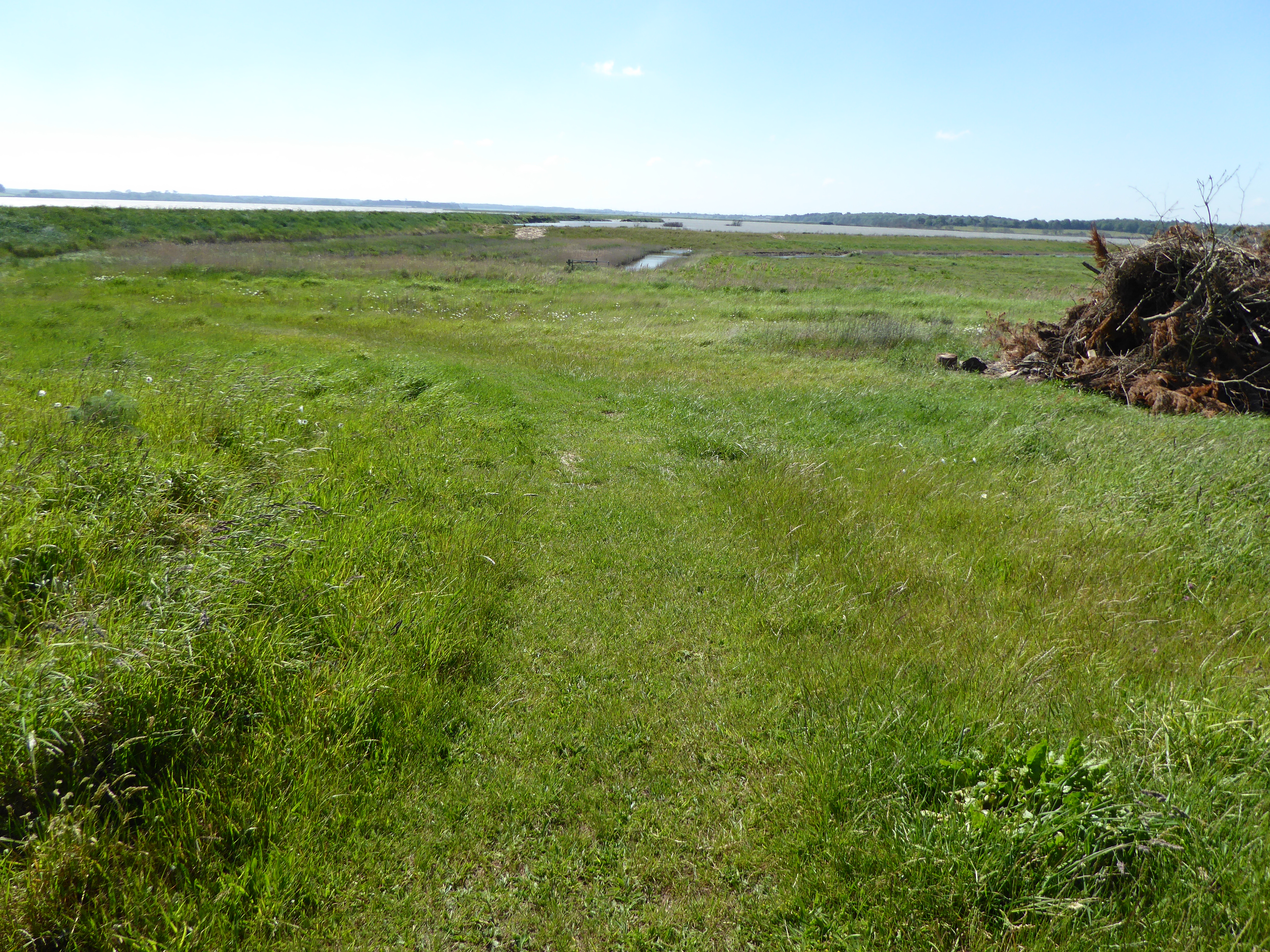 Round Hill Pit, Aldeburgh