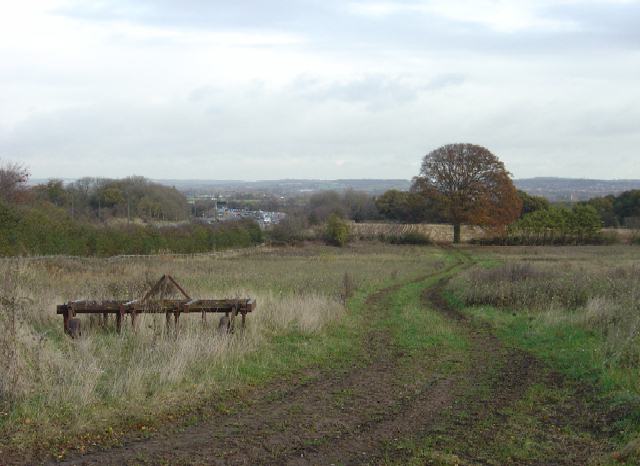 File:The heights of Nottingham - geograph.org.uk - 616604.jpg