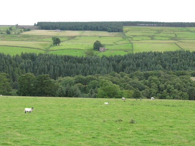 File:The valley of Beldon Burn (3) - geograph.org.uk - 512944.jpg