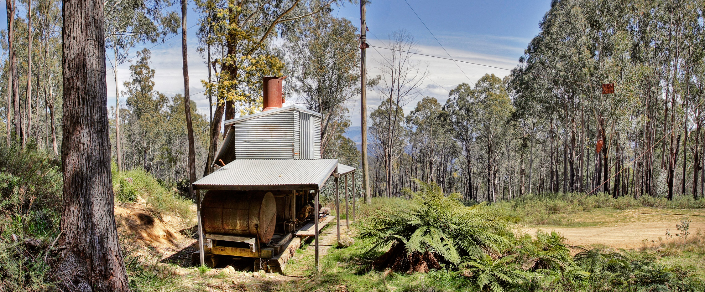 logging