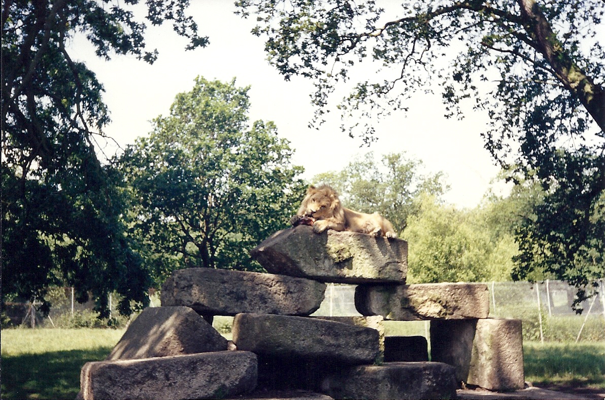 Windsor Safari Park