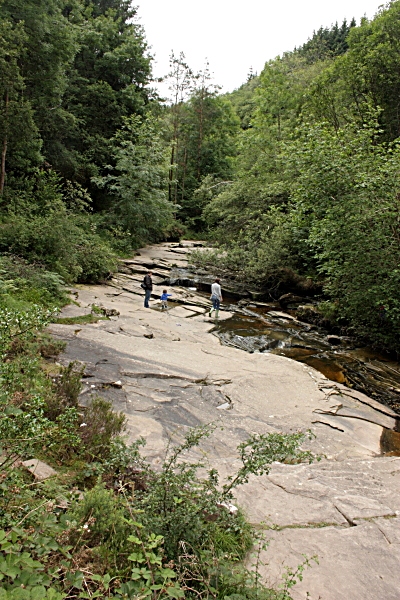 Young River Barrow - geograph.org.uk - 2014676