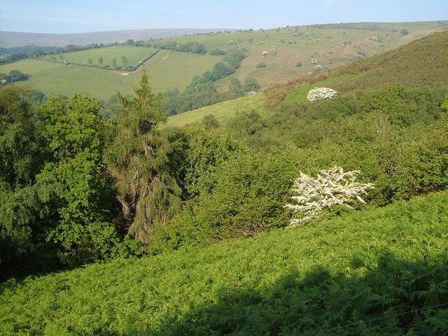 File:Across Great Combe - geograph.org.uk - 3023732.jpg