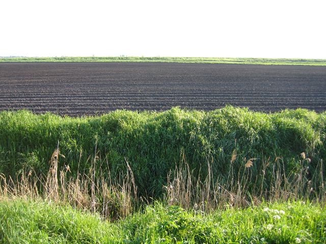 File:Below sea level, Little Fen, Burwell, Cambs - geograph.org.uk - 168470.jpg