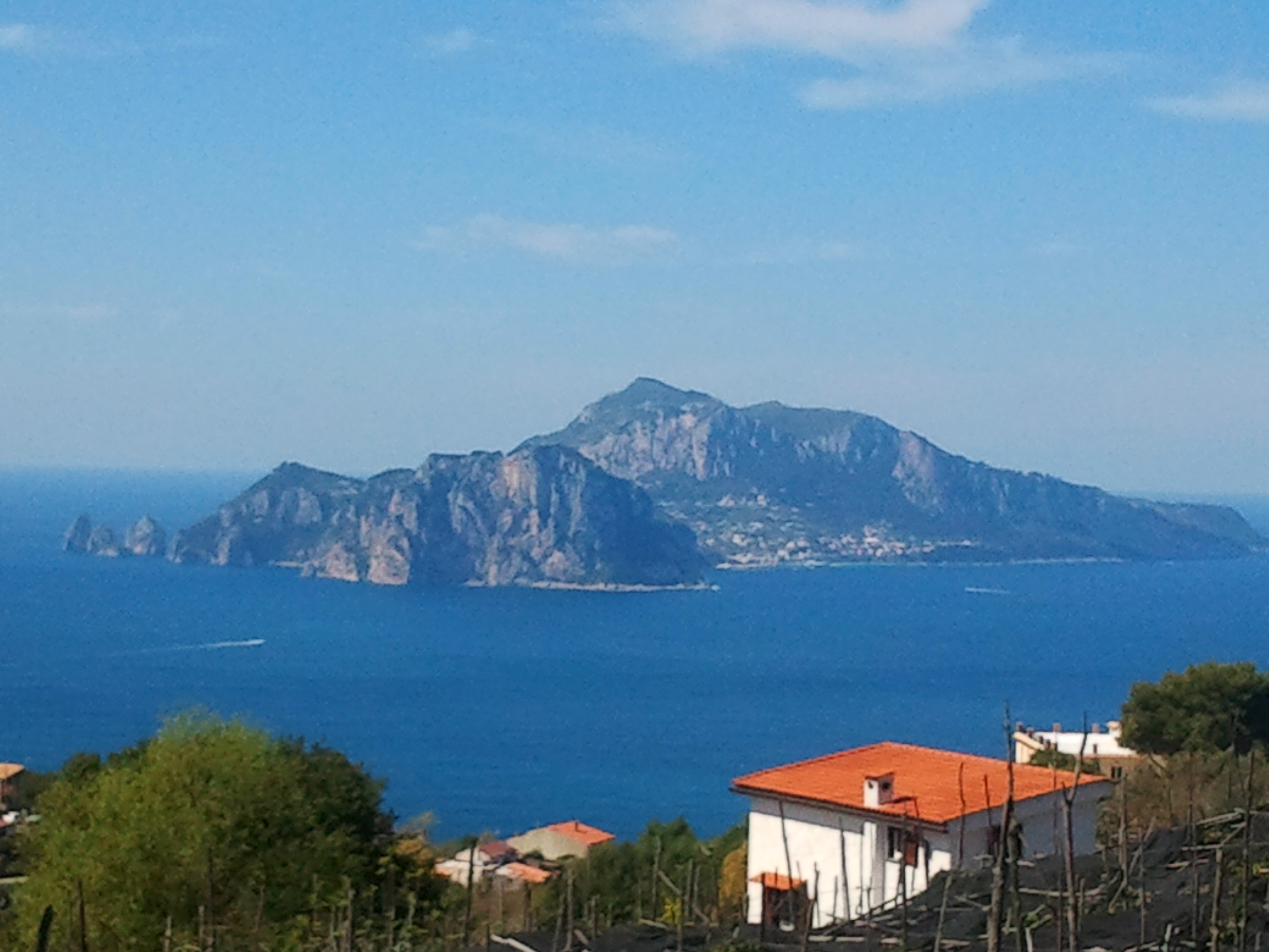 Capri Island and Blue Grotto Shared Tour from Sorrento - Positano Capri