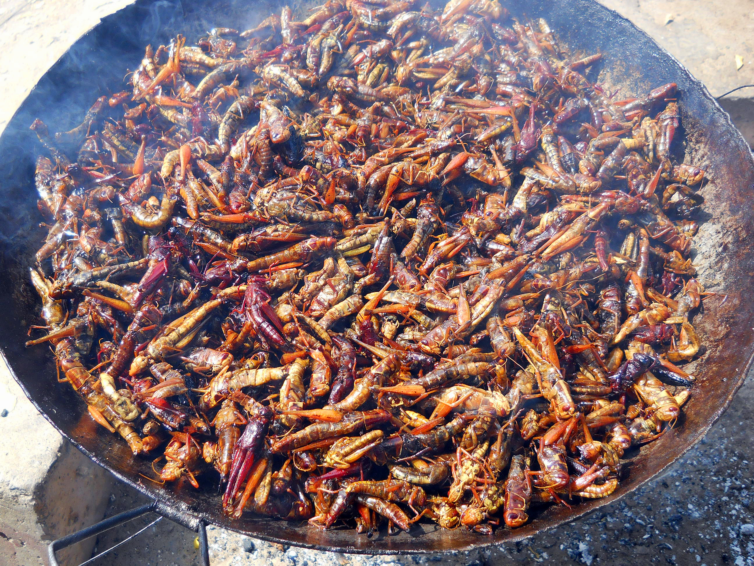 File:Chad delicacy.jpg - Wikimedia Commons