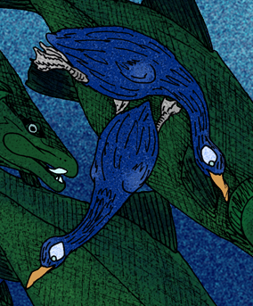 File:Blue and Green feather.png - Wikipedia