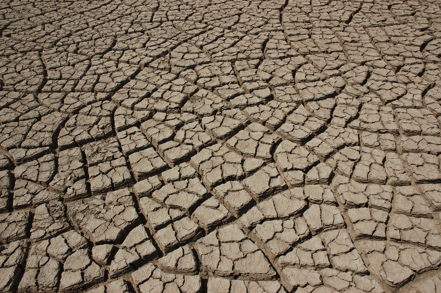 Cracked_earth_in_the_Rann_of_Kutch.jpg