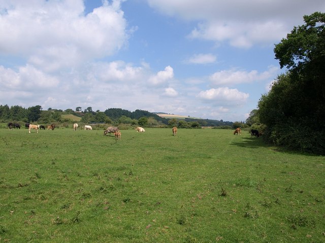 Exe Valley Way - geograph.org.uk - 1980968