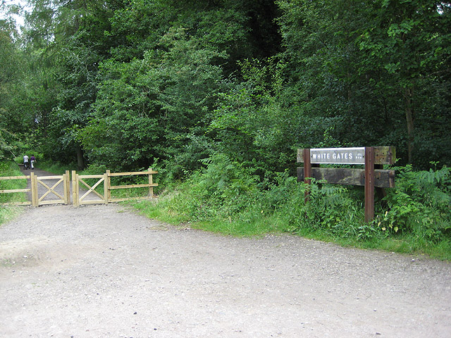 Family Cycle Trail, Forest of Dean - geograph.org.uk - 869091