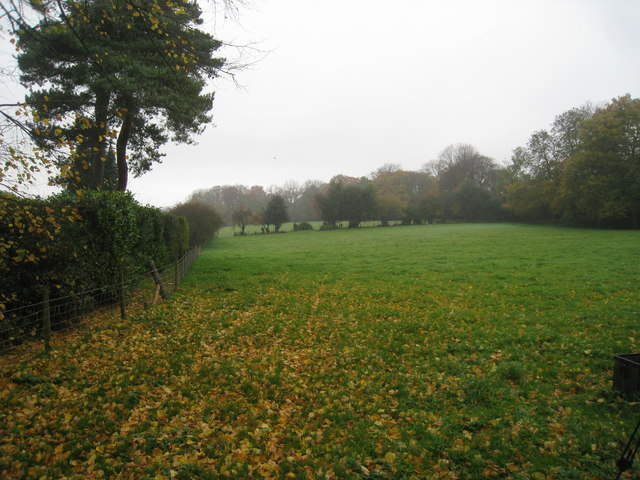 File:Field off Grays Road - geograph.org.uk - 2145550.jpg