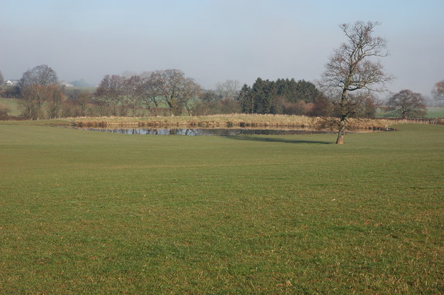 File:Fishing pool near Aulden - geograph.org.uk - 333007.jpg