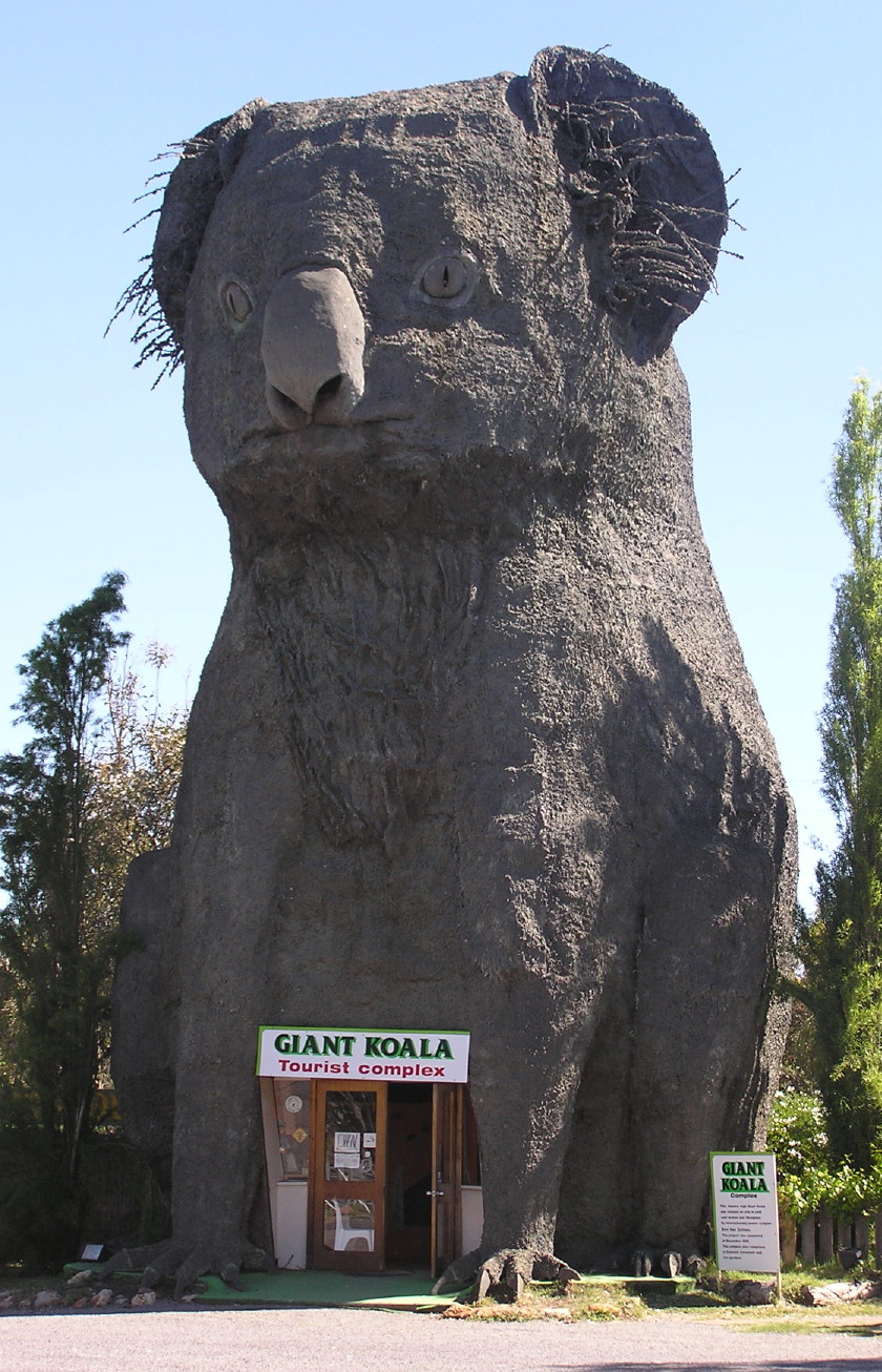 Giant Koala By Bilby via Wikimedia Commons