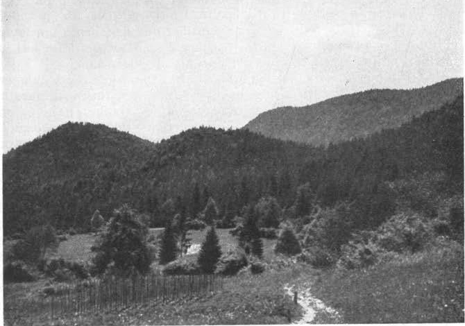 File:Goteniški Snežnik 1941.jpg