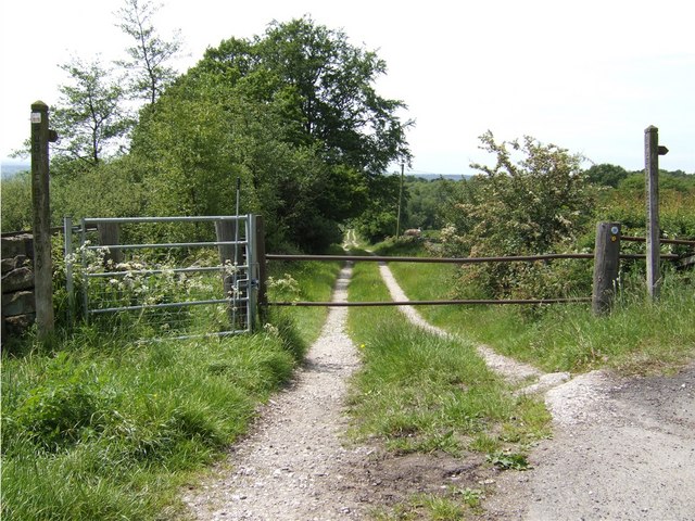 File:Green Lane - geograph.org.uk - 454363.jpg