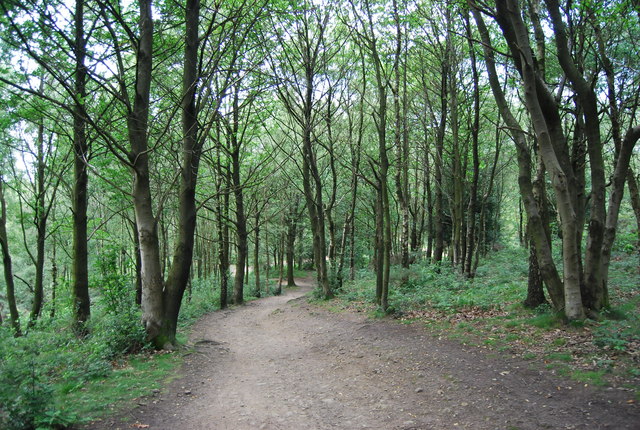 File:Greensand Way, Holmbury Hill - geograph.org.uk - 2648493.jpg