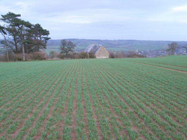 File:Hill Barn - geograph.org.uk - 313161.jpg