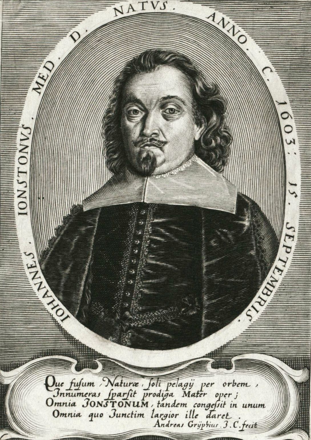 Jonston, ca. 1650