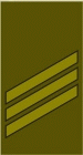 File:LT-Army-OR3.gif