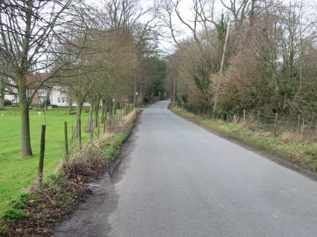 File:Looking NW along Longage Hill - geograph.org.uk - 645253.jpg